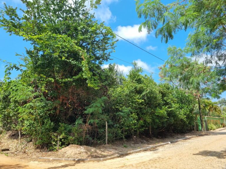 Imagem do WhatsApp de 2024-09-04 à(s) 14.31.49_0611d94c