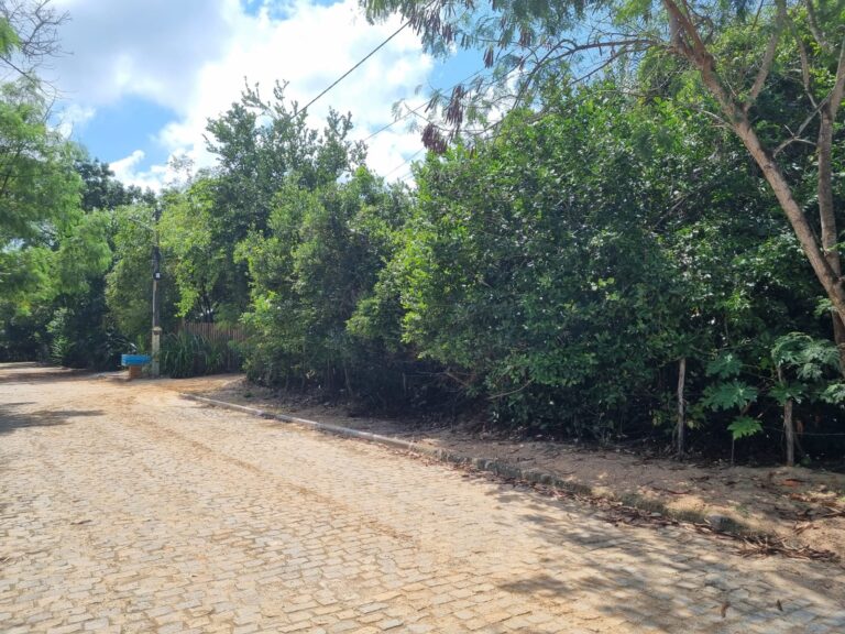 Imagem do WhatsApp de 2024-09-04 à(s) 14.31.49_ca175961