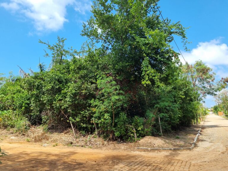 Imagem do WhatsApp de 2024-09-04 à(s) 14.31.49_fb8b4083