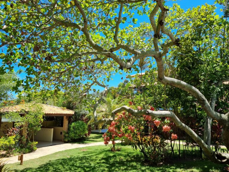 IMG-20250123-WA0023 - Copia