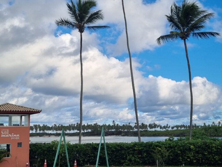 WhatsApp Image 2025-05-01 at 19.53.46